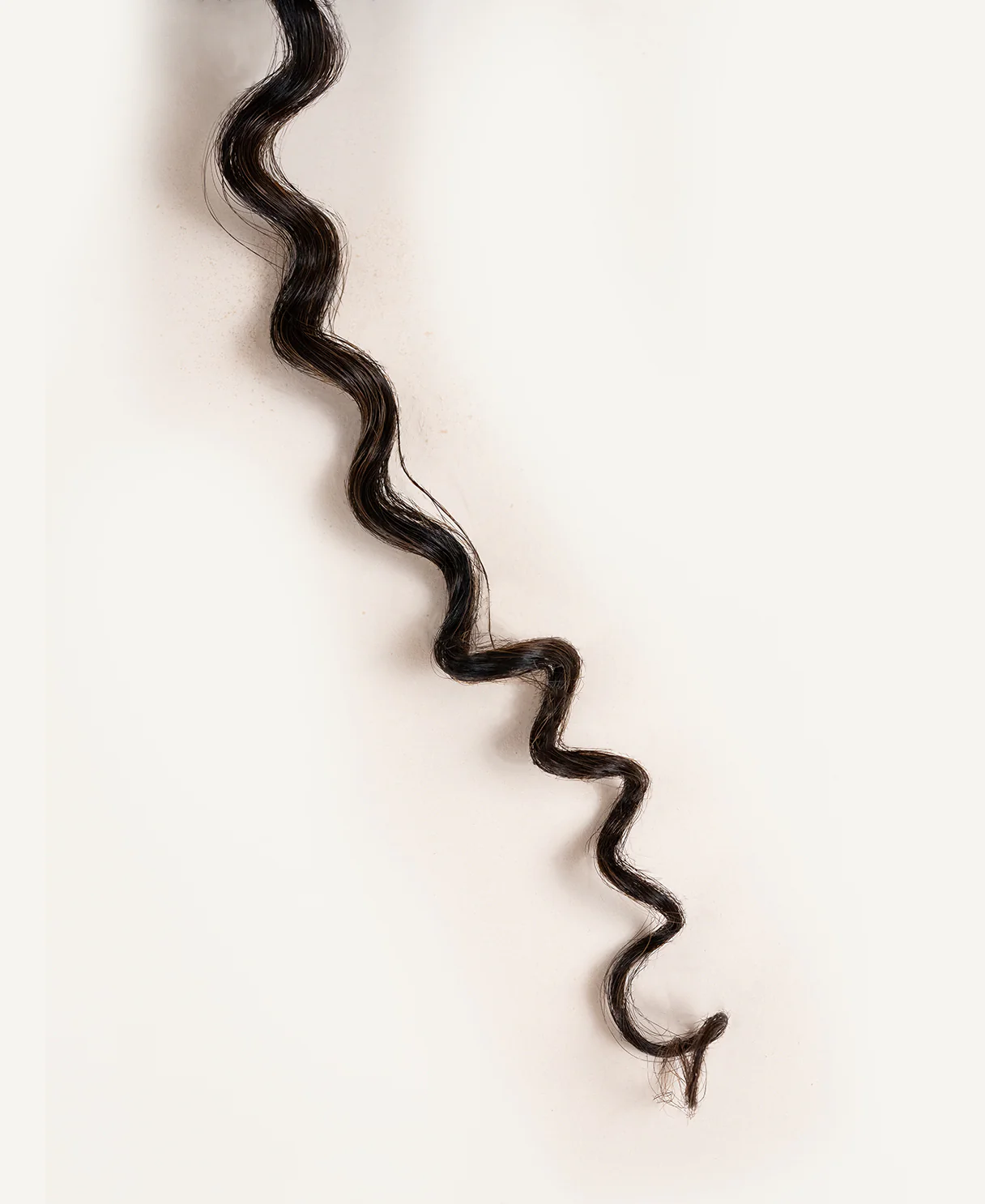 curly (3A curls) clip-in hair extensions mocha balayage. - Image 5