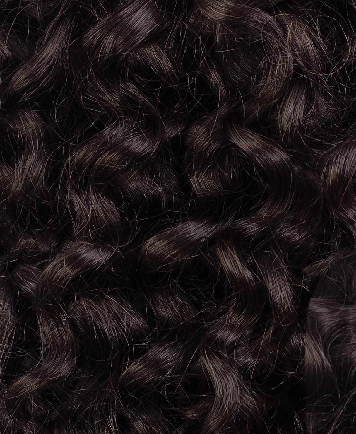 curly (3A curls) clip-in extensions chocolate brown. - Image 2