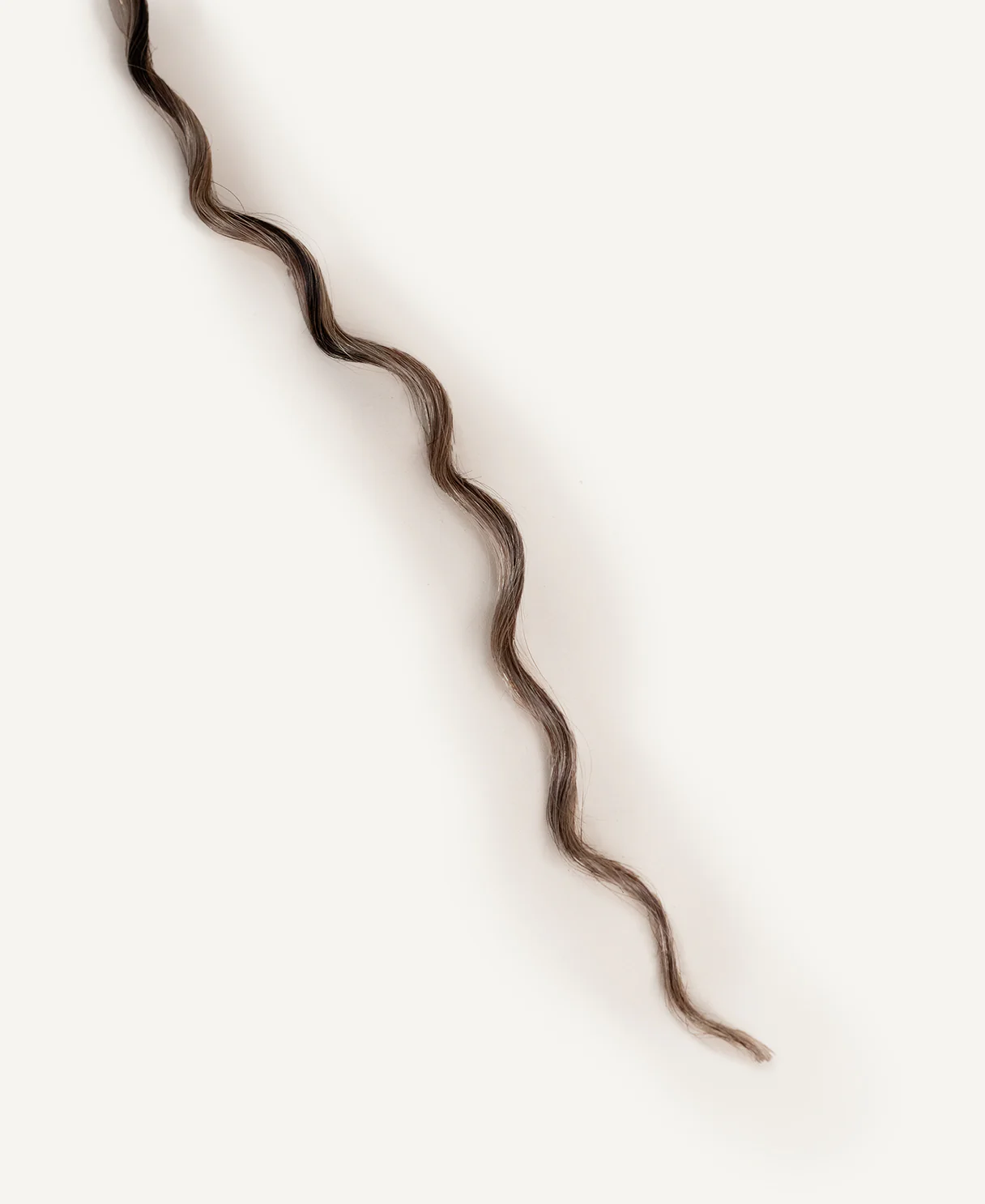 curly (3A curls) clip-in hair extensions ash brown balayage. - Image 4