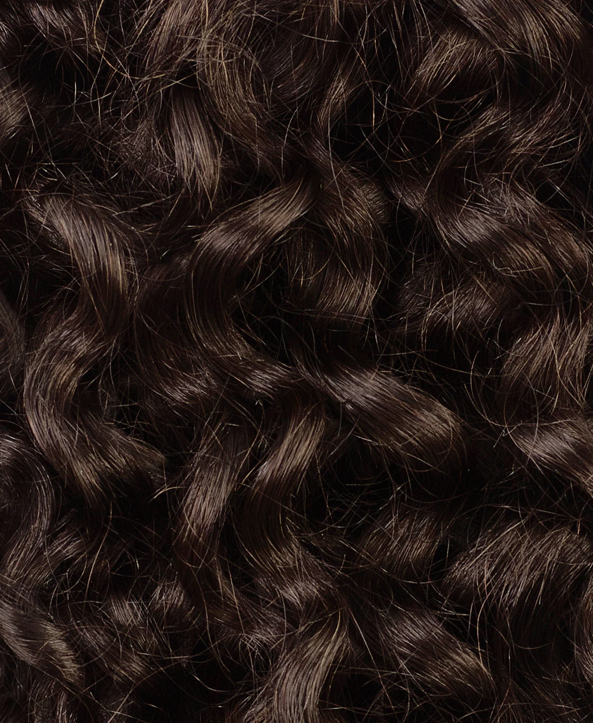 curly (3A curls) clip-in extensions medium brown. - Image 2