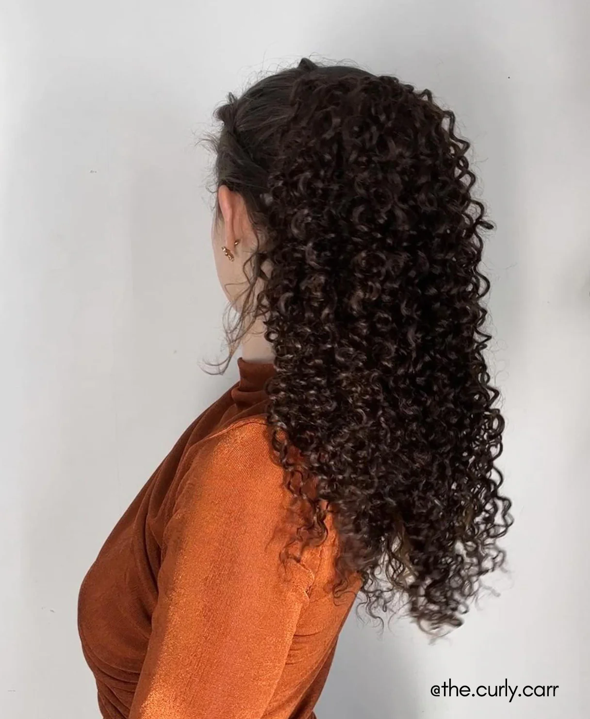 curly ponytail - chocolate brown. - Image 7